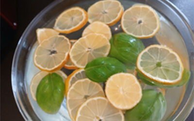 Boissons rafraîchissantes